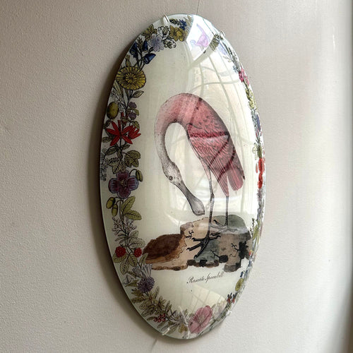 John Derian Spoonbill With Flowers (Convex) 13 X 18" Oval