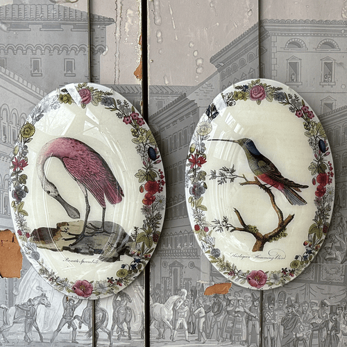 John Derian Spoonbill With Flowers (Convex) 13 X 18" Oval