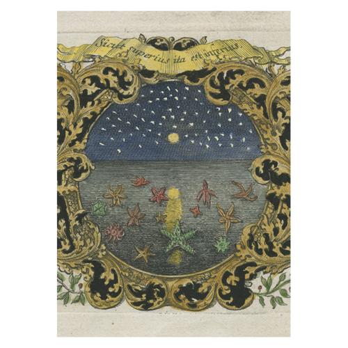 john derian Starfish at Night Card With Envelope (Pack of 6)