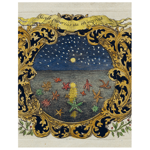 john derian Starfish & Starry Night (p 162) 11" x 14" Rect. Tray