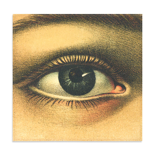 john derian Summerill & Bishop x John Derian "Eye" Linen Napkin Set of 6 Add to cart A symbol of curiosity wisdom and protection the Eye Napkin brings a striking focal point to your table. Designed in collaboration with John Der