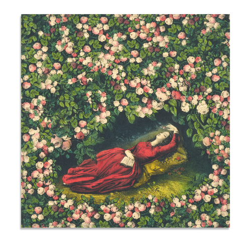 john derian Summerill & Bishop x John Derian "Sleeping Beauty" Linen Napkin Set of 6 Add to cart Inspired by John Derian’s love of botanical imagery this design captures the quiet beauty of a water lily in bloom. See the full