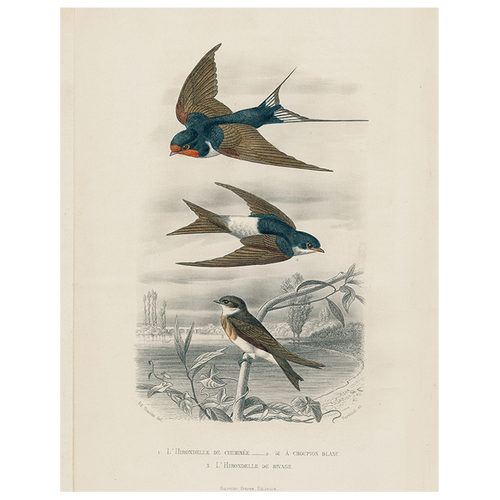 john derian Swallows (3 Birds) (p 236) 11" x 14" Rect. Tray