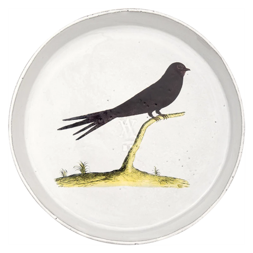 john derian Swift Dish Add to cart Details 5.3" Diameter x .4" Deep Glazed terracotta Made in Paris Care Dishwasher safe on a moderate wash cycle. Not microwave safe. John Derian teamed up with Astier de Villatte to add his icon