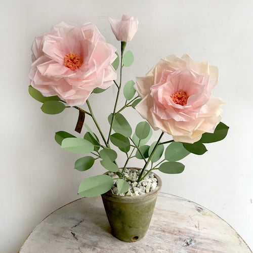 john derian The Green Vase Potted Garden Rose Add to cart Details Made to order; please allow 6-8 weeks for delivery. 21" x 15" Each item will feature unique variations Handmade in New York Please call our shop for availability