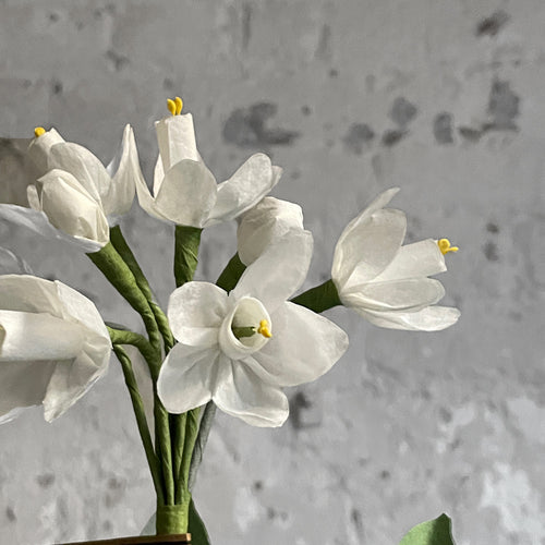 John Derian The Green Vase Potted Paper White Plant Add To Cart Details 11" W X 21" H Made To Order; Please Allow 6-8 Weeks For Delivery. Each Item Will Feature Unique Variations Handmade In New York Please Call Our Shop For Ava