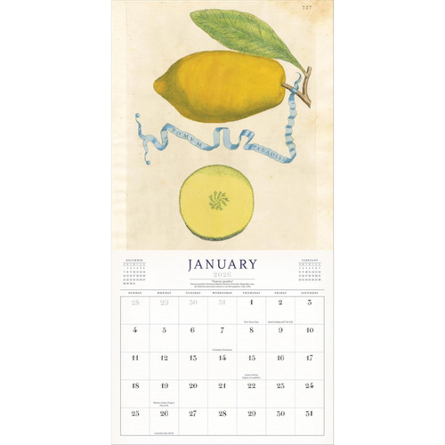 John Derian The World Of John Derian Wall Calendar 2026 Add To Cart The 2026 John Derian Wall Calendar Is A Curated Collection Of Beautiful Eye-catching Imagery Drawn From 19th-century Books Lithographs And Prints. Details 11.8"