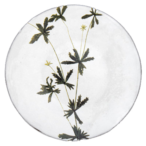 john derian Tormentilla Plate Add to cart Assiette Tormentilla Details 9.4" Diameter x .8 Deep Glazed terracotta Made in Paris Care Dishwasher safe on a moderate wash cycle. Not microwave safe. Image Origin Pressed leaves Hollan