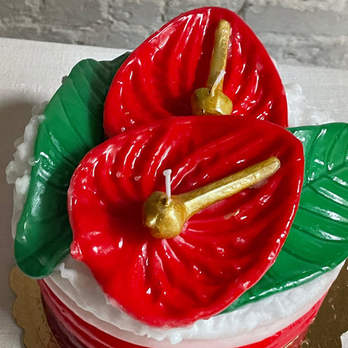 John Derian Torta Anthurium Cake Candle Add To Cart Details 7" W X 6.5" H Paraffin Wax Each Item Will Feature Unique Variations Made In Italy Care Remove All Paper Before Burning. Not Intended For Children. Cereria Introna Has
