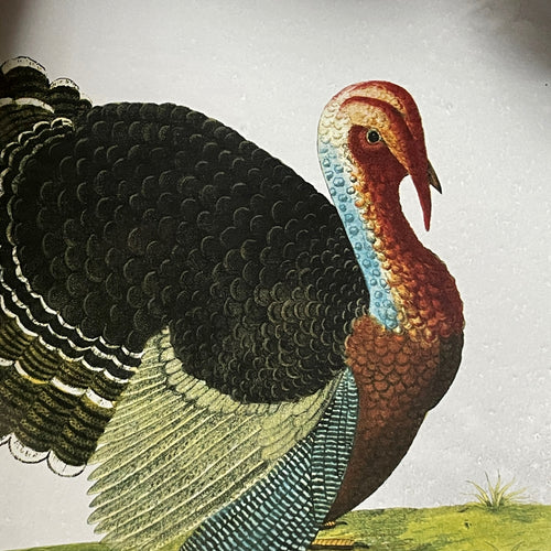 John Derian Turkey Platter Add To Cart Details 17" L X 13.75" W X 2.25" D Glazed Terracotta Made In Paris Care Dishwasher Safe On A Moderate Wash Cycle. Not Microwave Safe. Origin England 1738. John Derian Teamed Up With Astier