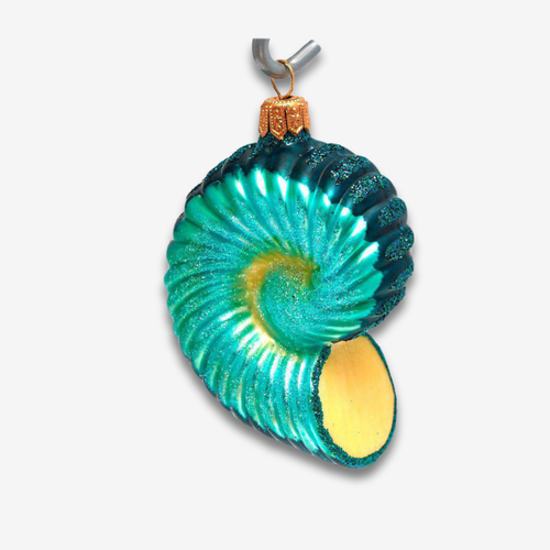 john derian Yellow & Blue Nautilus Shell Ornament Add to cart All Holiday ornaments and items are final sale and are not eligible for return or exchange.  This Yellow & Brown Ammonite Shell Ornament feels like a fossilized trea