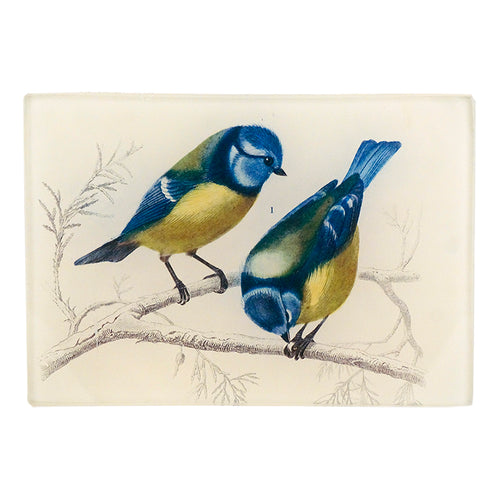 john derian Yellow-Breasted Blue Tit 3.5 x 5" Tiny Rect. Tray