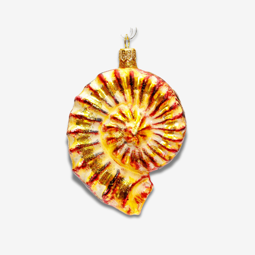john derian Yellow & Brown Ammonite Shell Ornament Add to cart All Holiday ornaments and items are final sale and are not eligible for return or exchange.  This Yellow & Brown Ammonite Shell Ornament feels like a fossilized tre