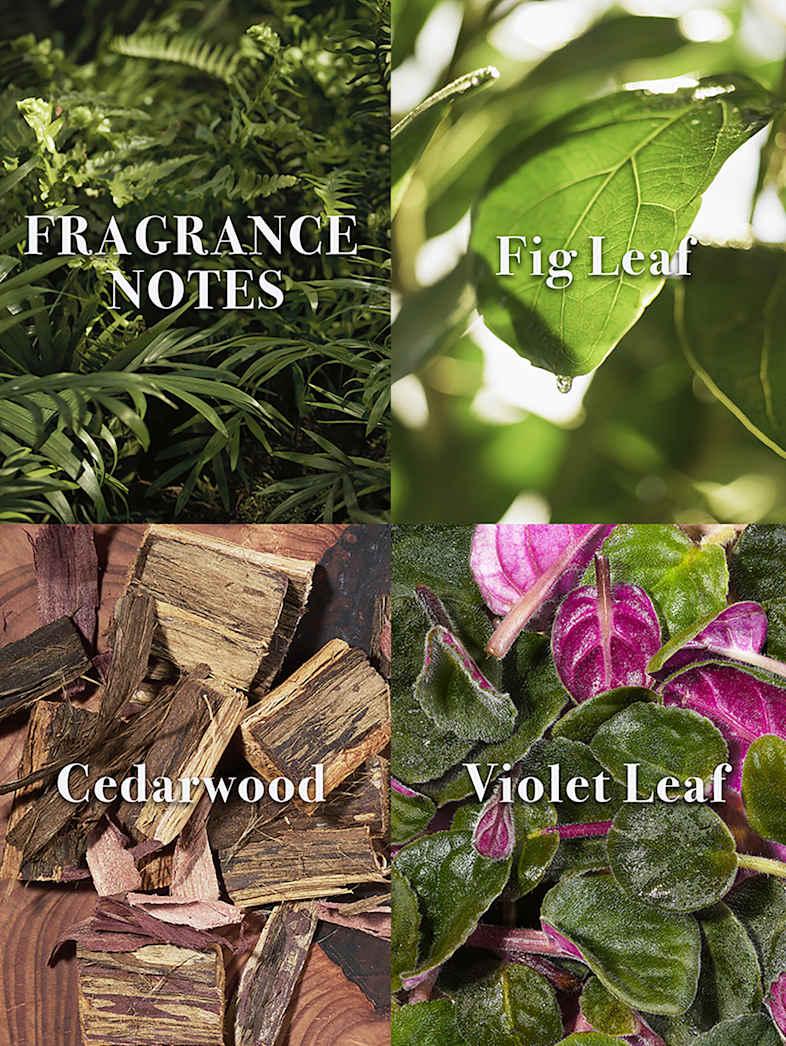 John Varvatos ARTISAN FOREST 4.2 OZ NO COLOR