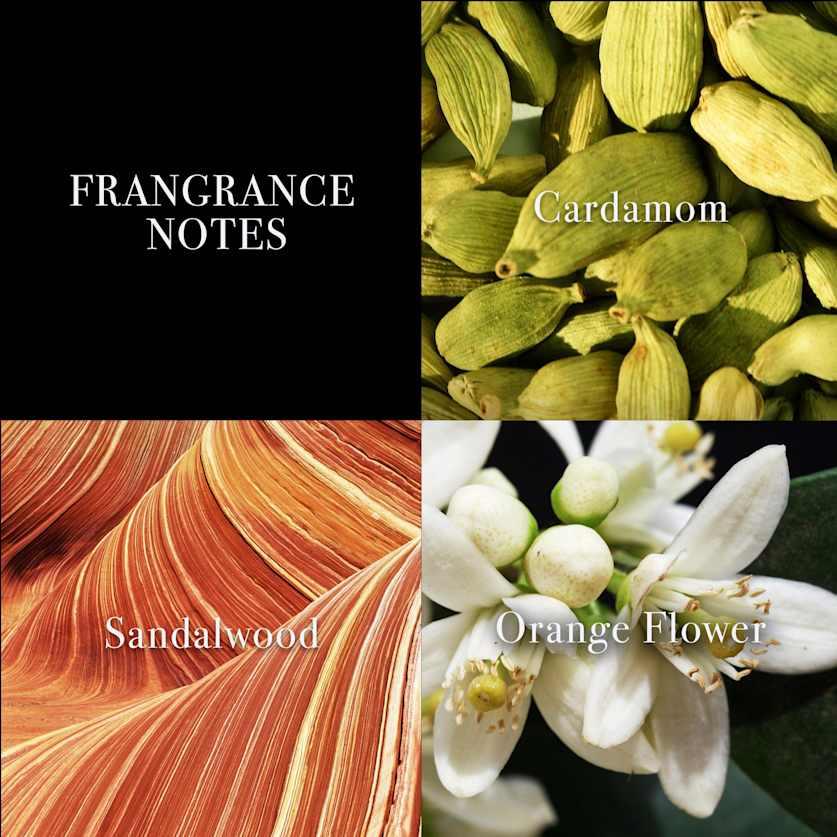 John Varvatos XX Heritage 4.2 NO COLOR