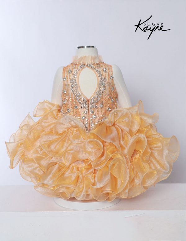 Sugar Kayne - Toddlers C231