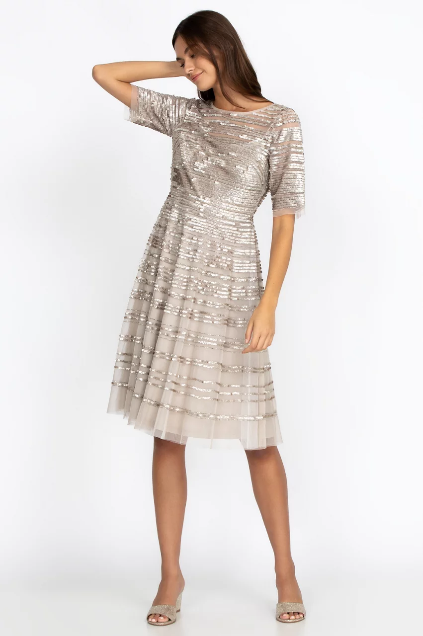 Johnny Was Champagne Beaded Mesh Dress Champagne