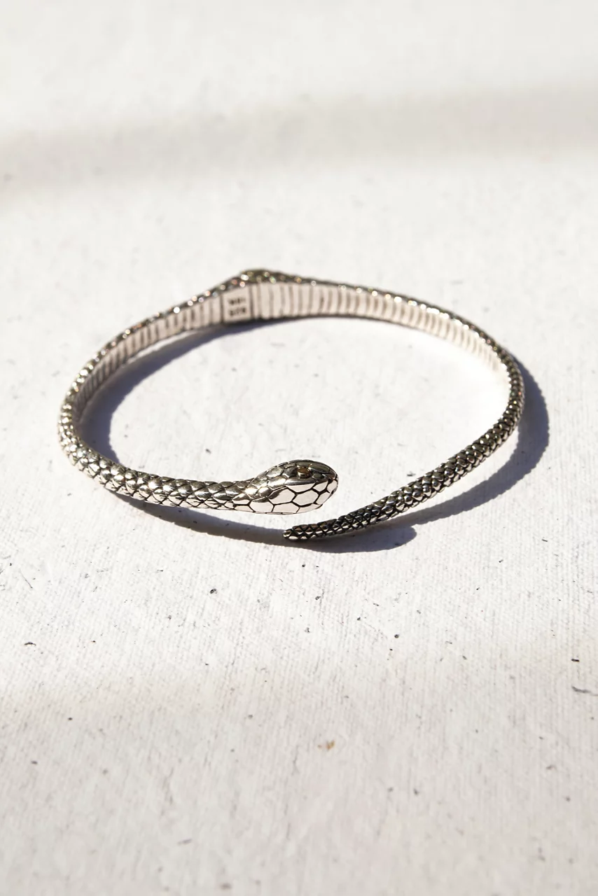 Johnny Was EARTH SERPENT BRACELET Silver