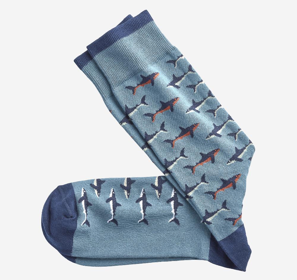 johnston & murphy Novelty Socks Blue Multi Shark