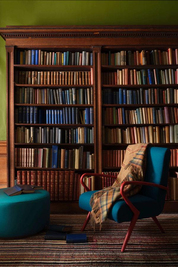 Johnstons Of Elgin Double Face Lambswool Brown Throw