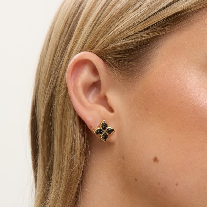 Jon Richard Jon Richard 14ct Gold Plated And Jet Druzy Stone Clover Earrings