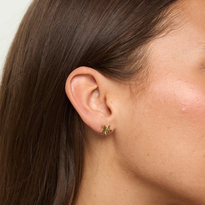 Jon Richard Jon Richard 18ct Gold Plated Star Earrings - Gift Cracker