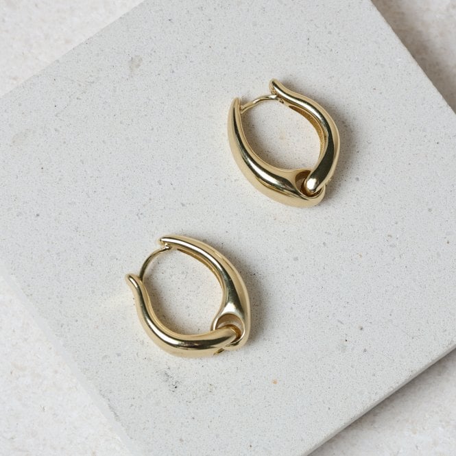 Jon Richard Jon Richard Gold Plated Polished Hoop Earrings