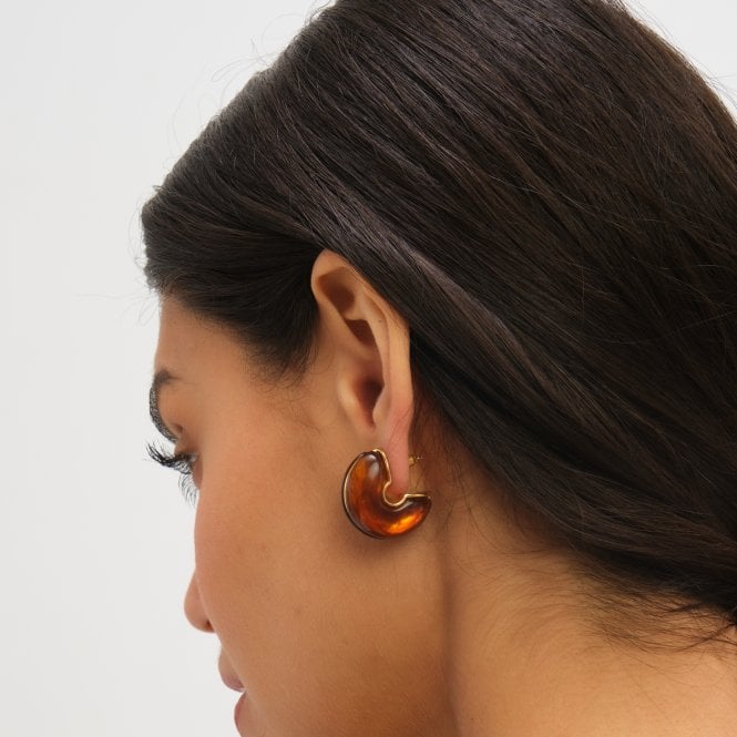 Jon Richard Jon Richard Brown Resin Hoop Earrings