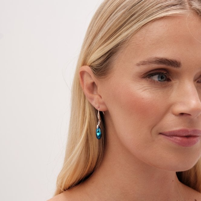 Jon Richard Jon Richard Radiance Collection Silver Plated Blue Fish Hook Drop Earrings