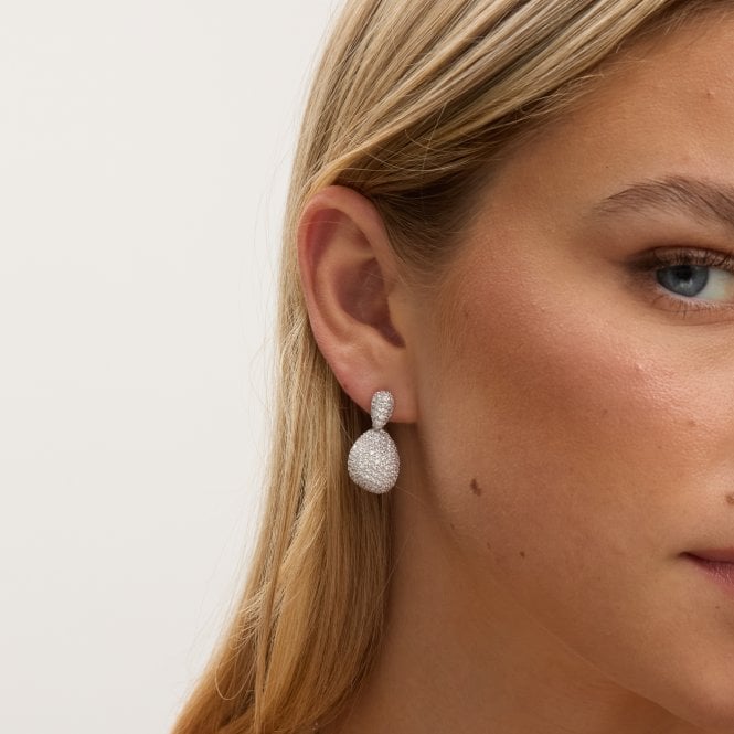 Jon Richard Jon Richard Rhodium Plated And Cubic Zirconia Drop Dome Earrings - Gift Box