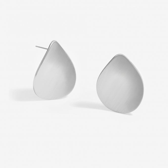 jon richard Jon Richard Silver Plated Brushed Earrings