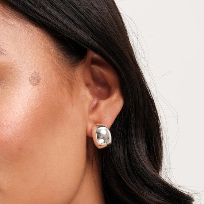 Jon Richard Jon Richard Silver Plated Dome Earrings