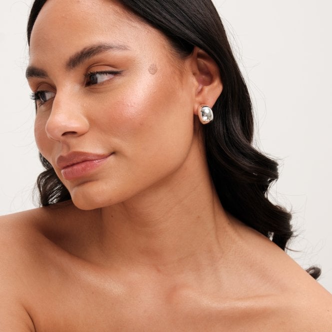 Jon Richard Jon Richard Silver Plated Dome Earrings