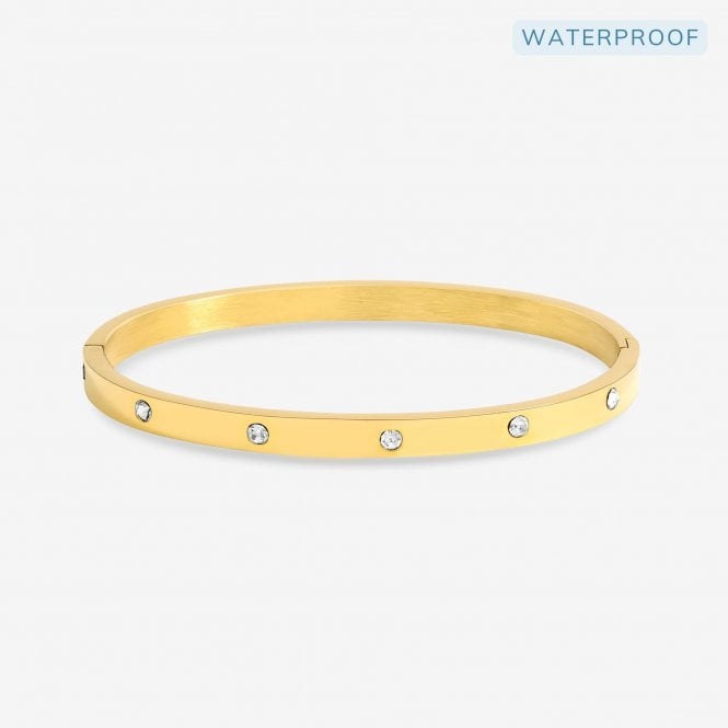 jon richard Jon Richard Waterproof Gold Plated Crystal Polished Bangle