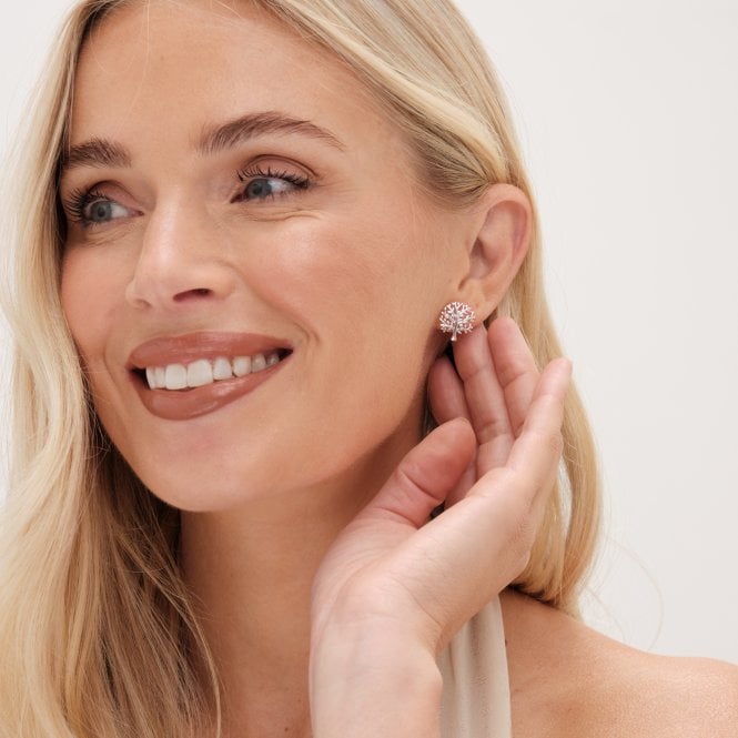 Jon Richard Simply Silver Sterling Silver 925 Polished Meaningful Tree Stud Earrings