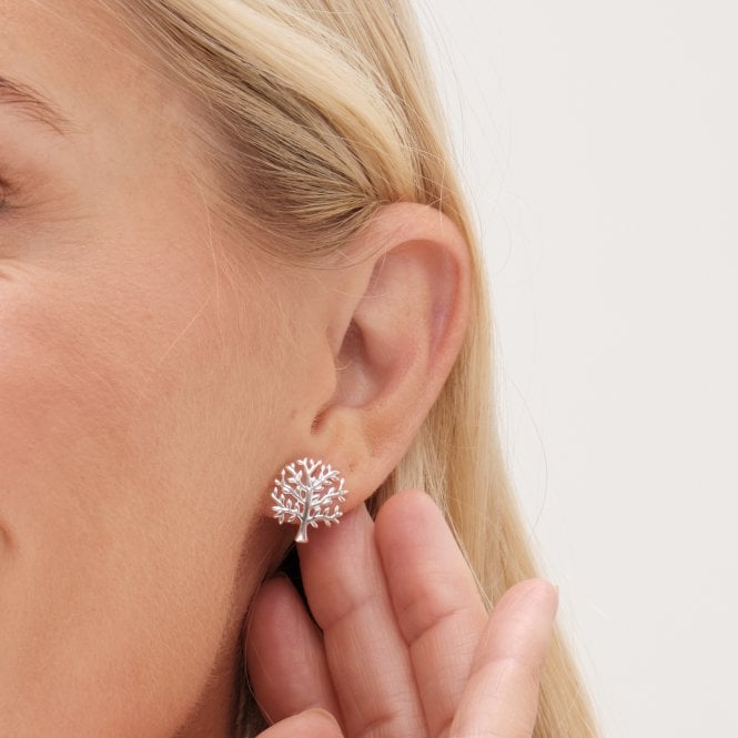 Jon Richard Simply Silver Sterling Silver 925 Polished Meaningful Tree Stud Earrings