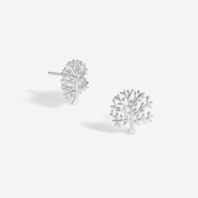 jon richard Simply Silver Sterling Silver 925 Polished Meaningful Tree Stud Earrings