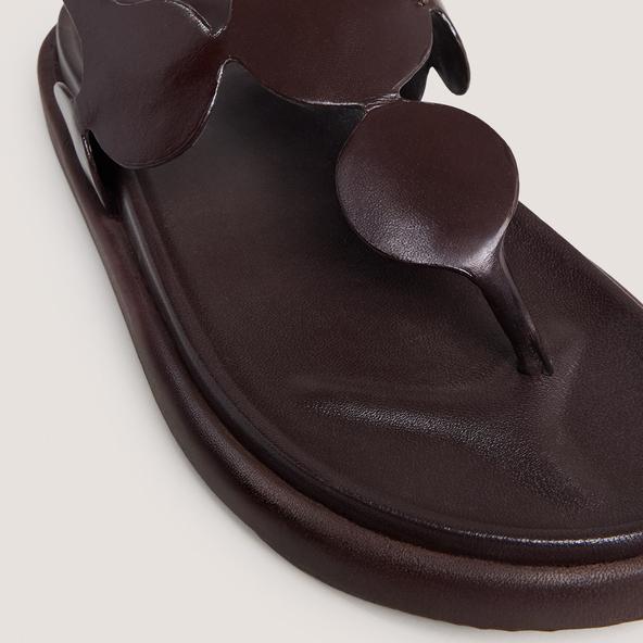 Jonak Sandals With Adjustable Straps In Dark Brown Leather WIND