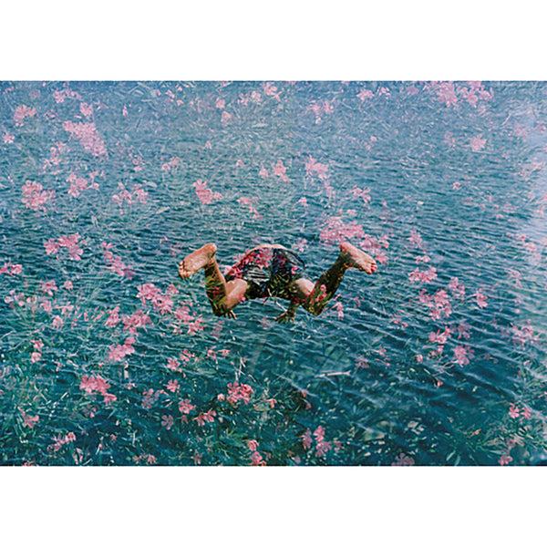 jonathan adler "Diving into Pink Flowers" from Getty Images