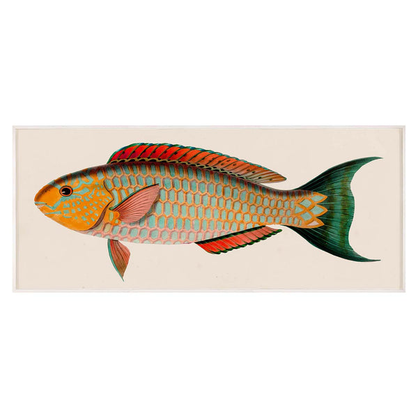 jonathan adler Bennet Fish 1