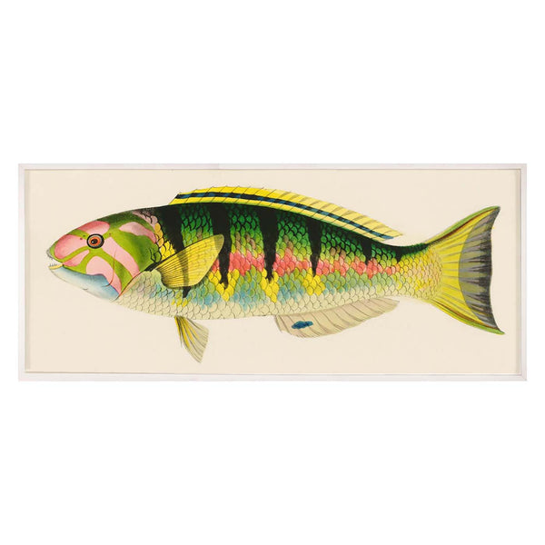 jonathan adler Bennet Fish 3