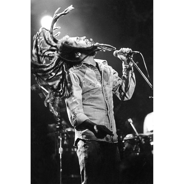 jonathan adler "Bob Marley" from Getty Images
