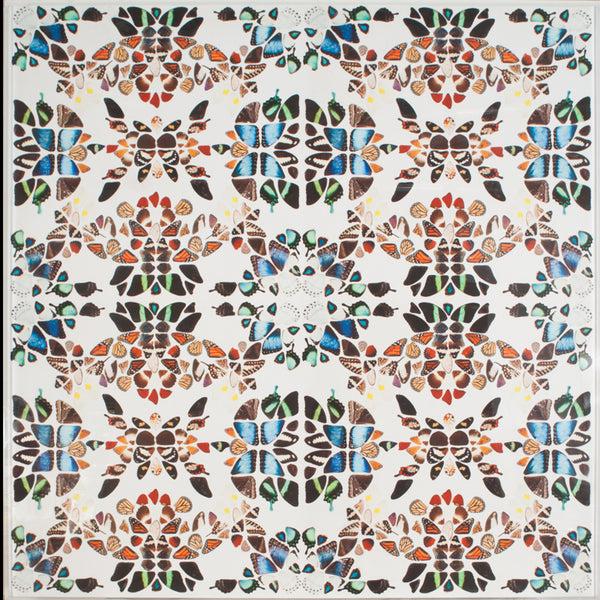 jonathan adler Butterfly Patterns 1