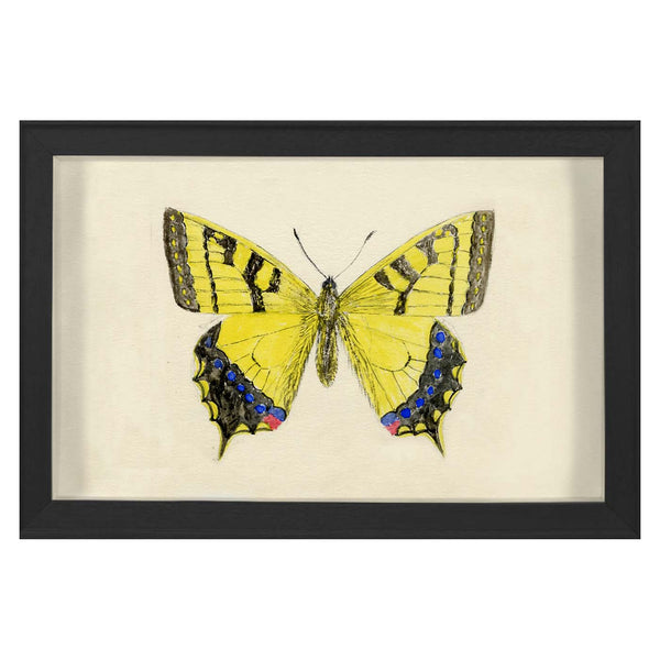 jonathan adler Hubbard Butterfly Small: 1010