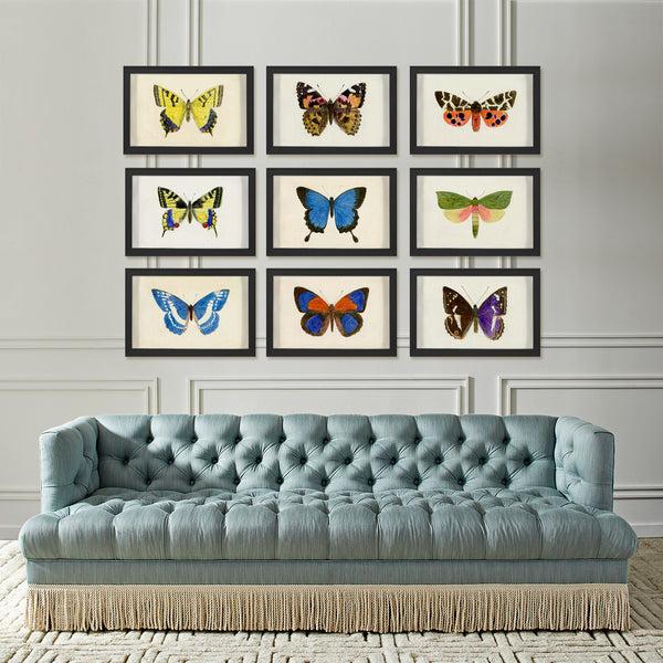 Jonathan Adler Hubbard Butterfly Small: 1160