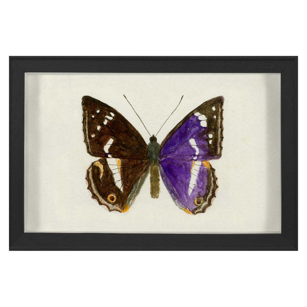 jonathan adler Hubbard Butterfly Small: 1160
