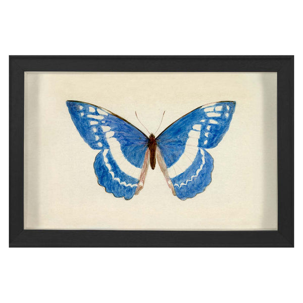 jonathan adler Hubbard Butterfly Small: 135