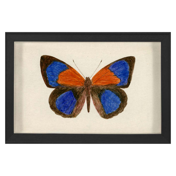 jonathan adler Hubbard Butterfly Small: 137