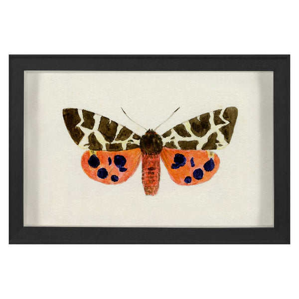 jonathan adler Hubbard Butterfly Small: 1420