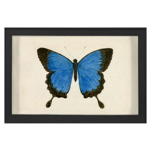 jonathan adler Hubbard Butterfly Small: 181